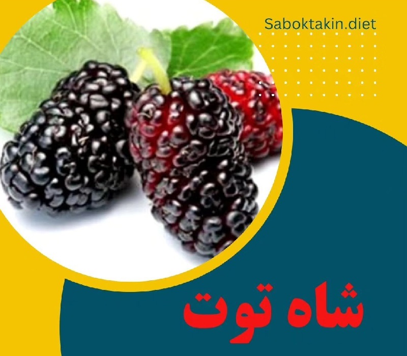 متخصص تغذیه تهران | 5 خوراکی قاتل سلولیت