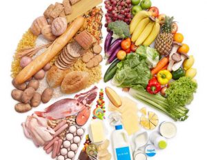 رژیم غذایی چیست؟