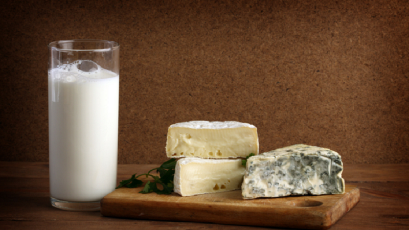 شیر و پنیر پروبیوتیک
