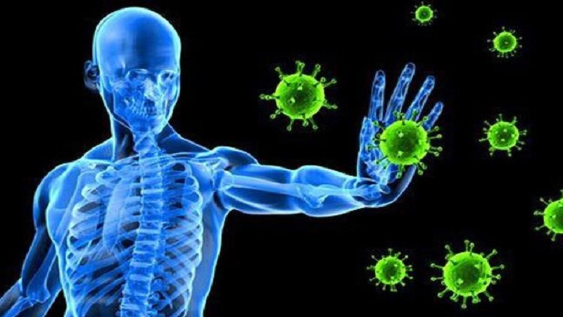 تقویت سیستم ایمنی بدن در سفر چه کنیم؟
