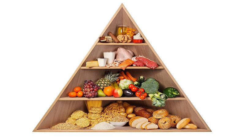 رژیم آنلاین - رژیم انلاین نقش مواد غذایی در سیستم ایمنی بدن