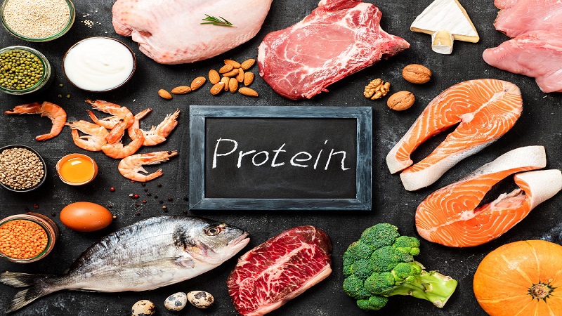 متخصص تغذیه تهران | مصرف پروتئین