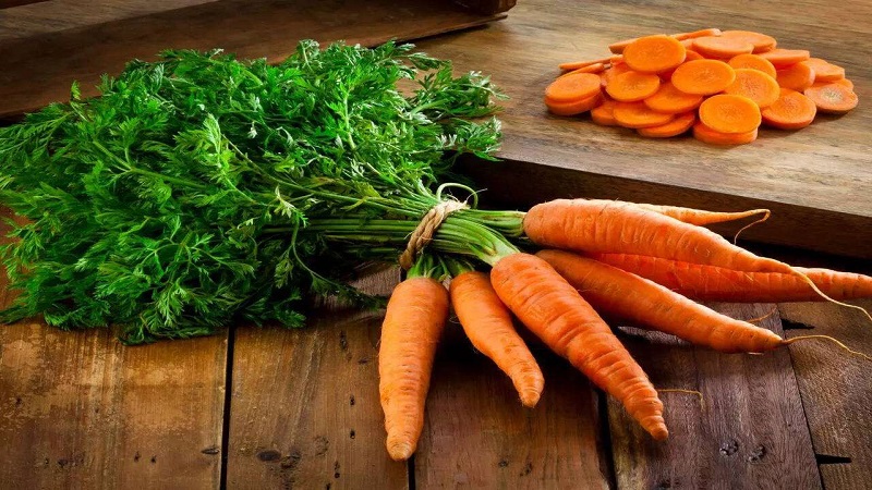 متخصص تغذیه تهران | carrot
