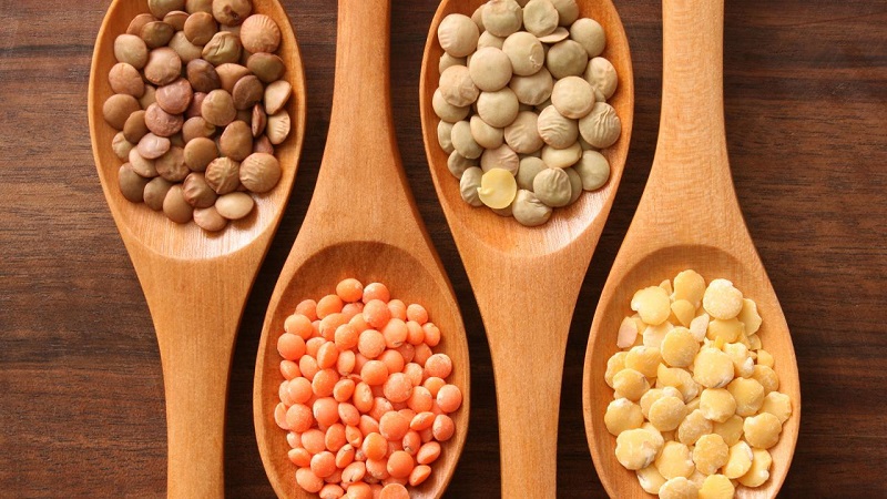 متخصص تغذیه تهران |  عدس