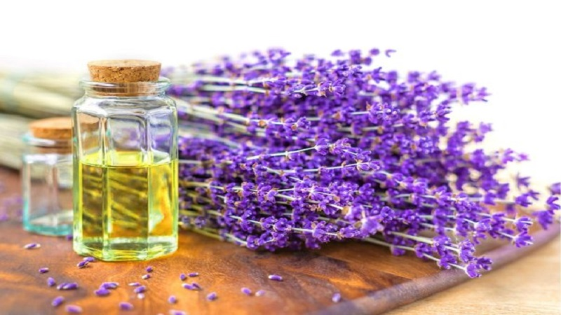 متخصص تغذیه تهران | اسطوخودوس و سروتونین