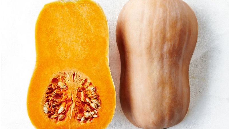 متخصص تغذیه تهران | pumpkin کدو تنبل