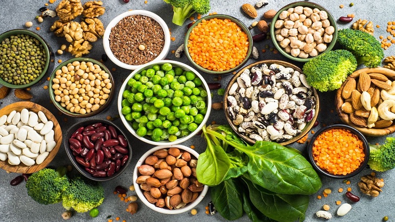متخصص تغذیه تهران | تفاوت‌ها و مزایا پروتئین‌های گیاهی در مقابل پروتئین‌های حیوانی
